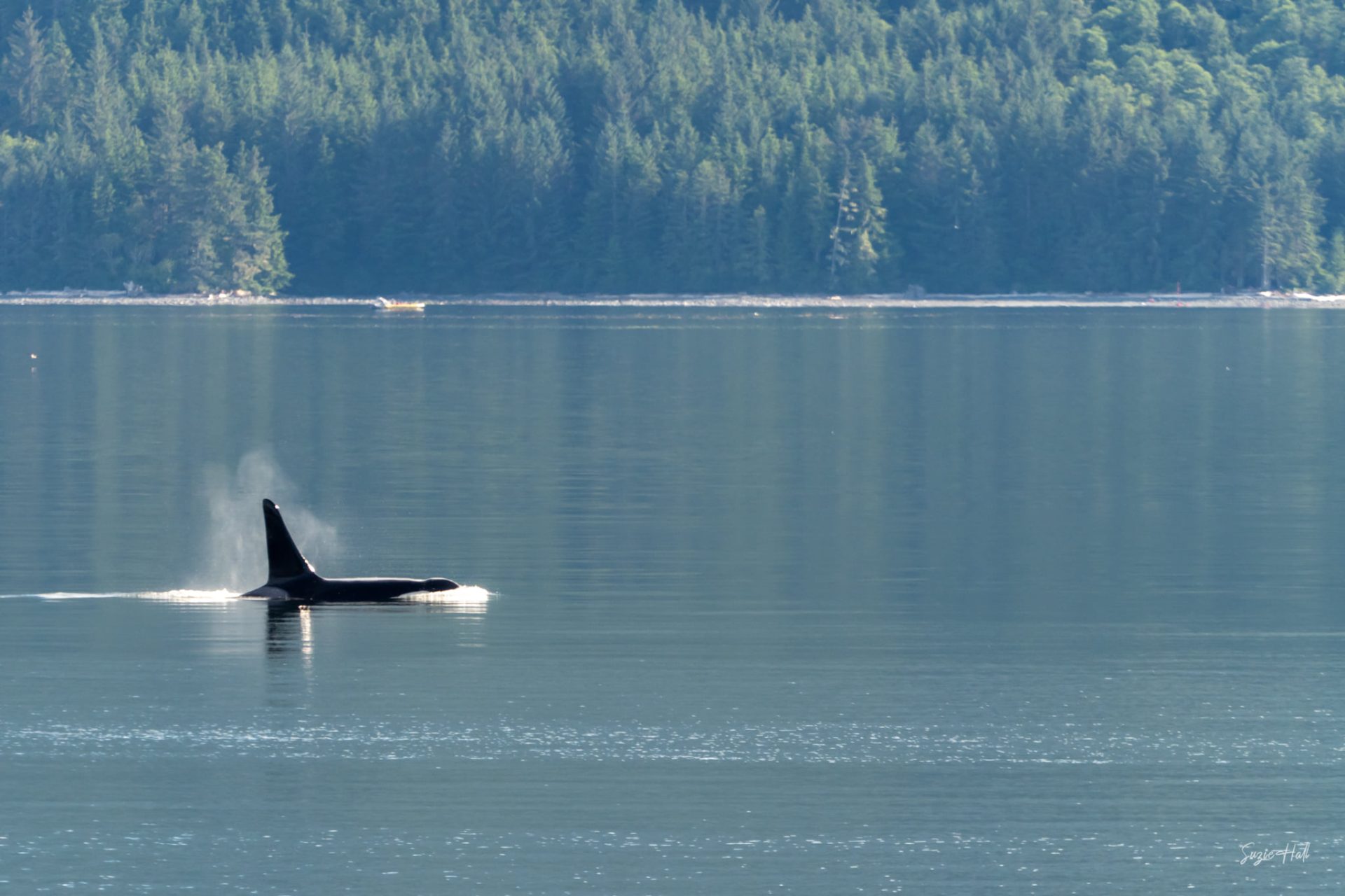 472934060_9787039877990889_607